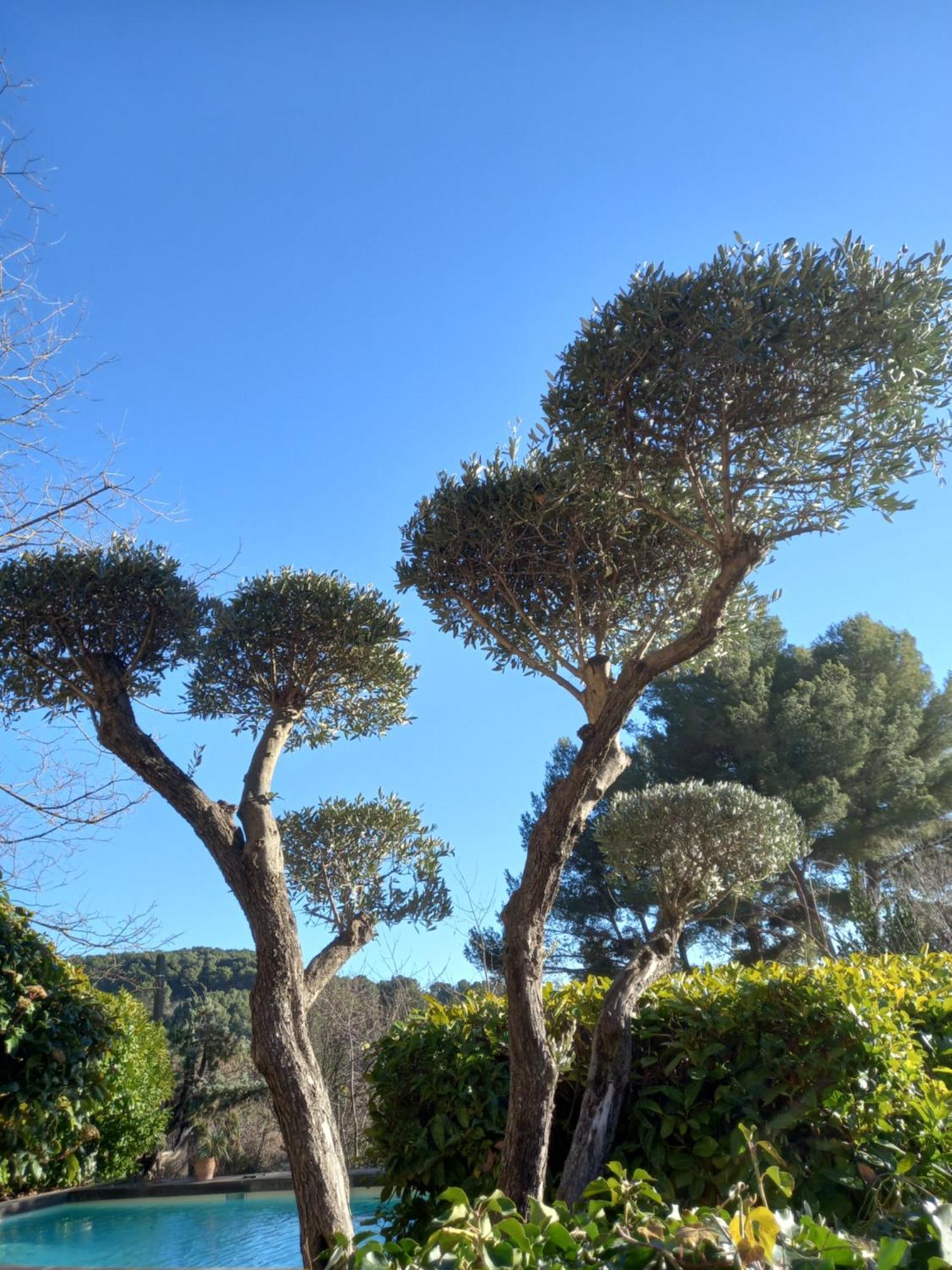 Privatunterkunft Le Jardin De Sabine